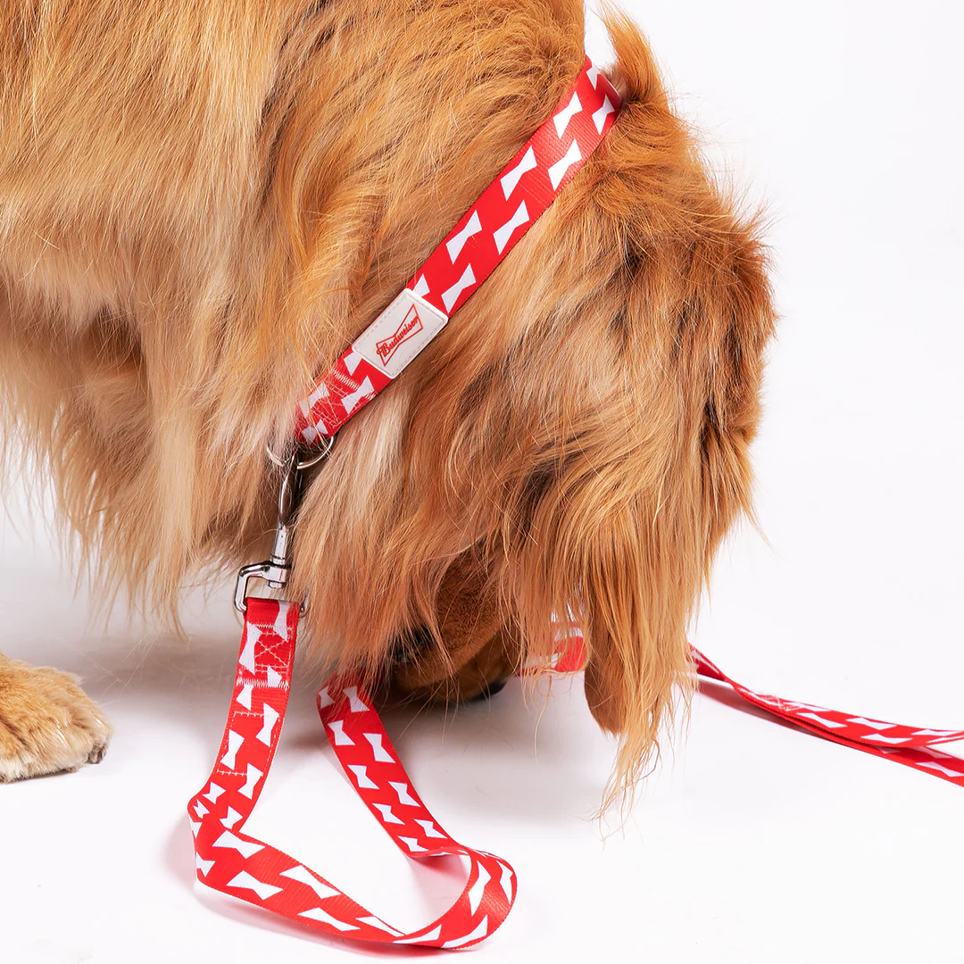 THE GOOD BUD COLLAR - Image 2